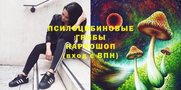 a pvp Михайловск