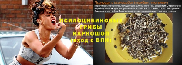 хмурый Бабаево