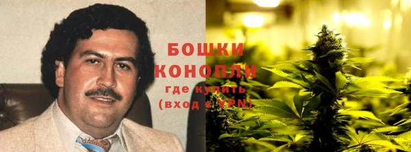 ПСИЛОЦИБИНОВЫЕ ГРИБЫ Аша