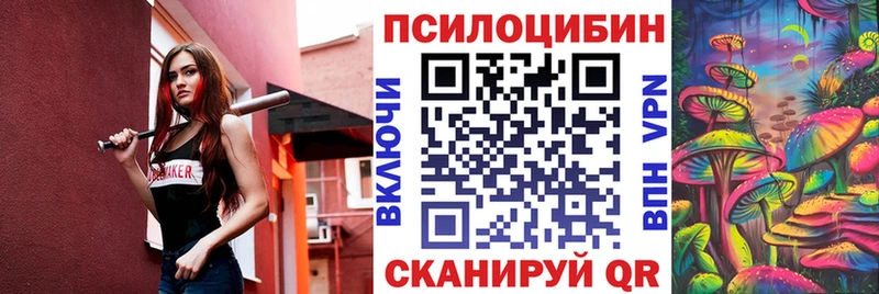 Галлюциногенные грибы Psilocybe Кисловодск