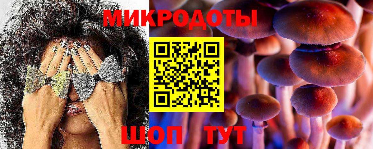 Псилоцибиновые грибы мицелий  где можно купить наркотик  Кисловодск 