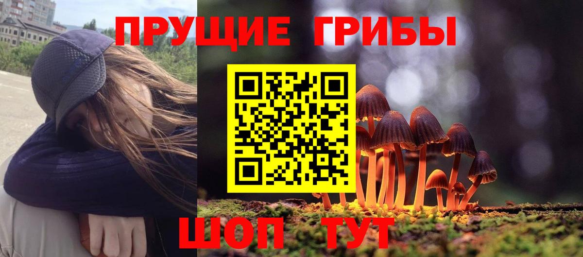 Галлюциногенные грибы Cubensis Кисловодск