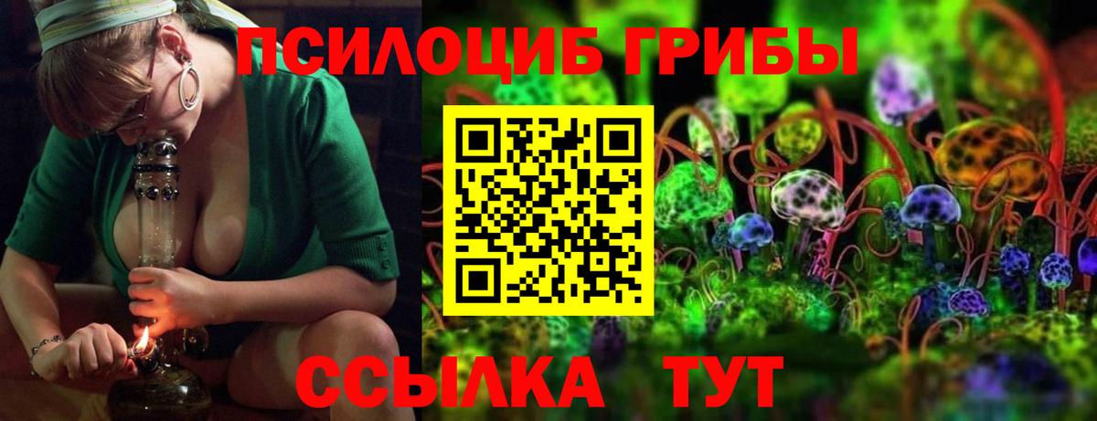 Псилоцибиновые грибы Psilocybe  Галлюциногенные грибы прущие грибы  Кисловодск  Вход с VPN 