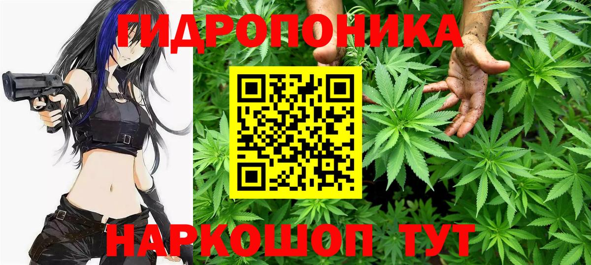 Кисловодск  Бошки Шишки AK-47  Шишки марихуана гибрид  Вход с VPN  Марихуана конопля  Марихуана Amnesia 